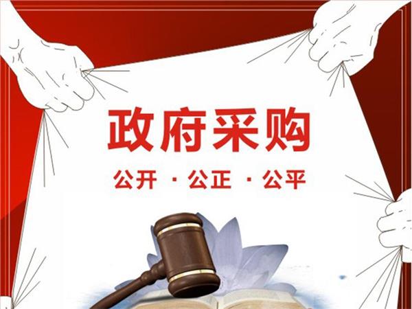 爆炸物毒品探測(cè)器招標(biāo)-深圳市中級(jí)人民法院